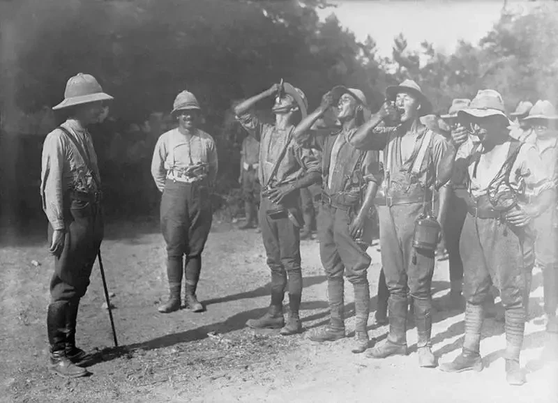 Горький как хина