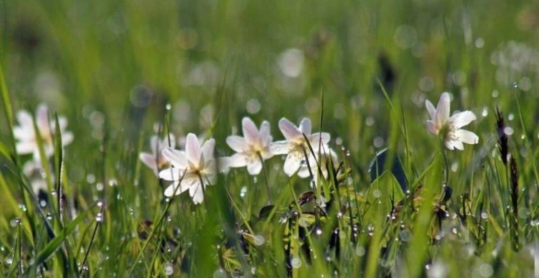 Какой сегодня праздник 7 мая 2025 года отмечают в России и в мире